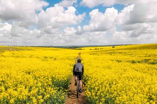 A cyclist riding through the seasons