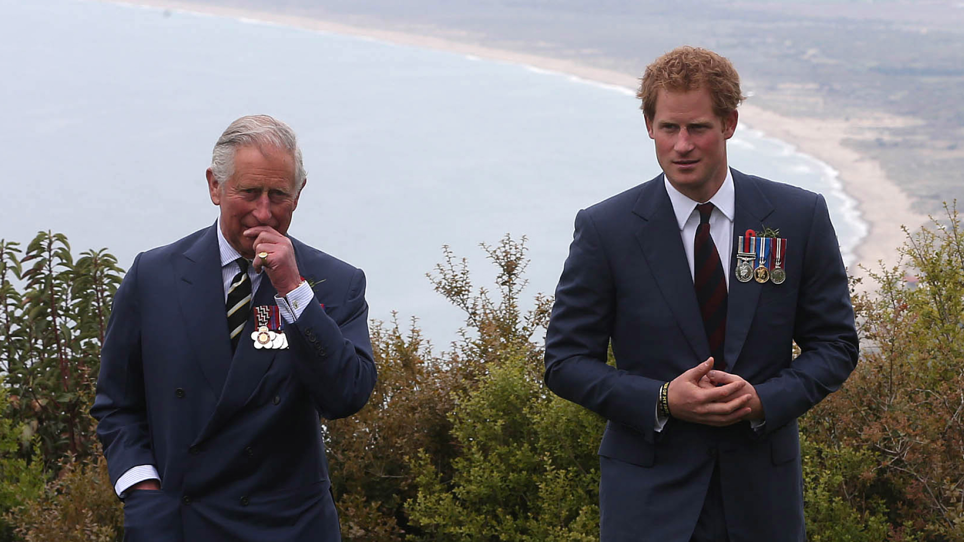 King Charles and Prince Harry stand on a scenic cliff in England while both wearing navy suits