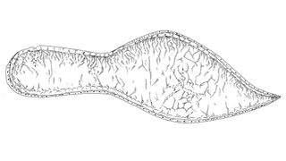 The sole of an adult's shoe from late 14th century Cambridge, England, showing a pointed shape.
