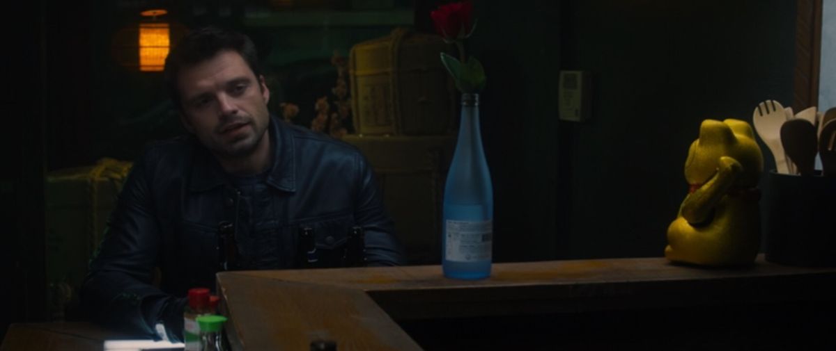 The Falcon and the Winter Soldier Episode 1