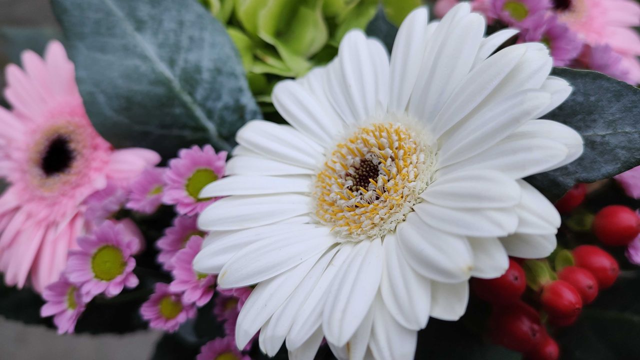 Motorola Edge 20 Pro camera