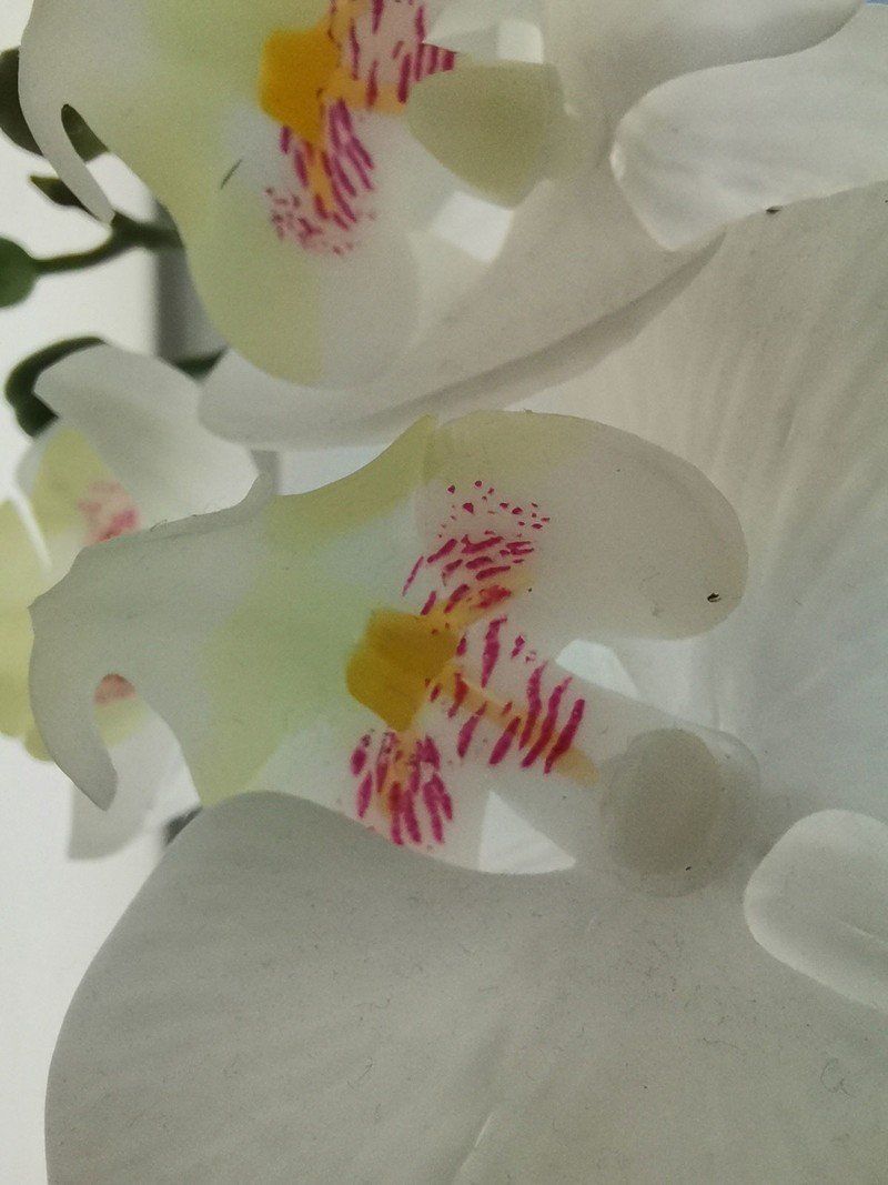 Sample photo