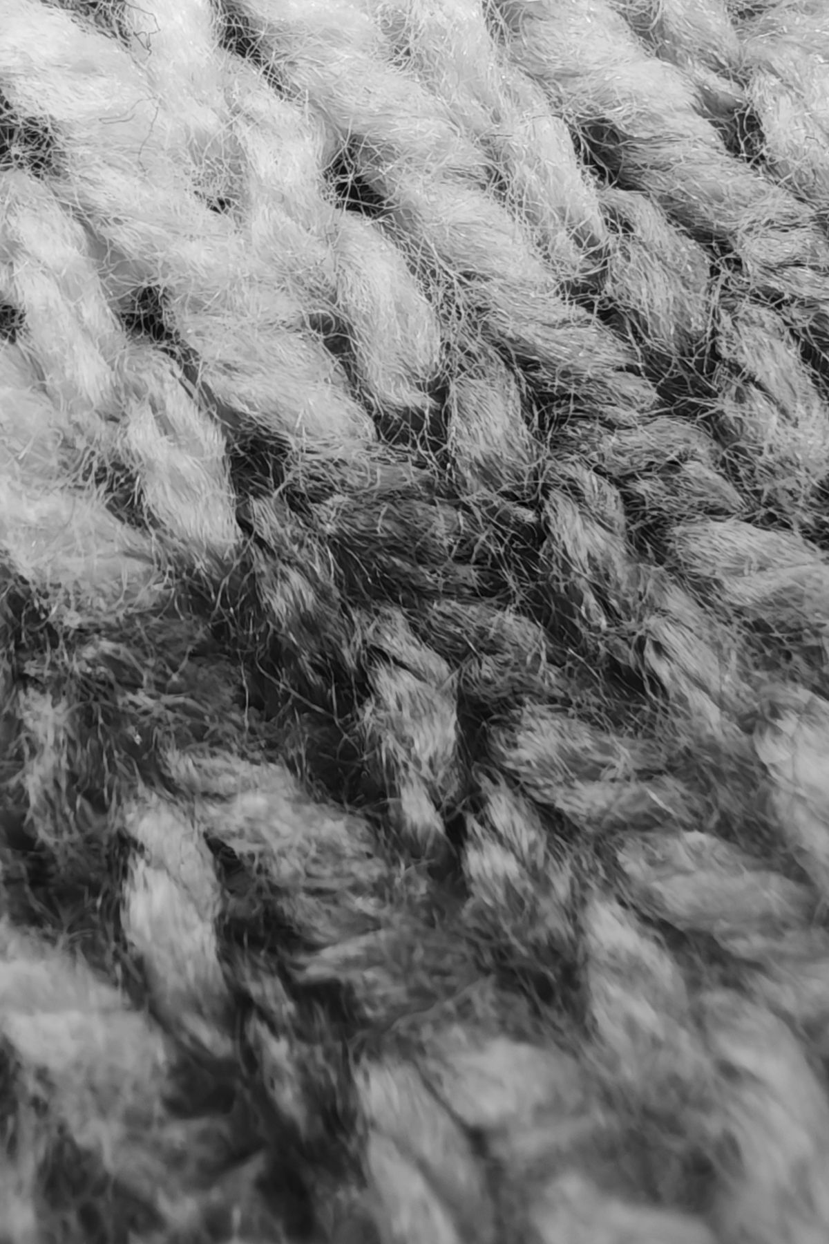 Leica Q3 Monochrom vs Leica Leitzphone macro comparison
