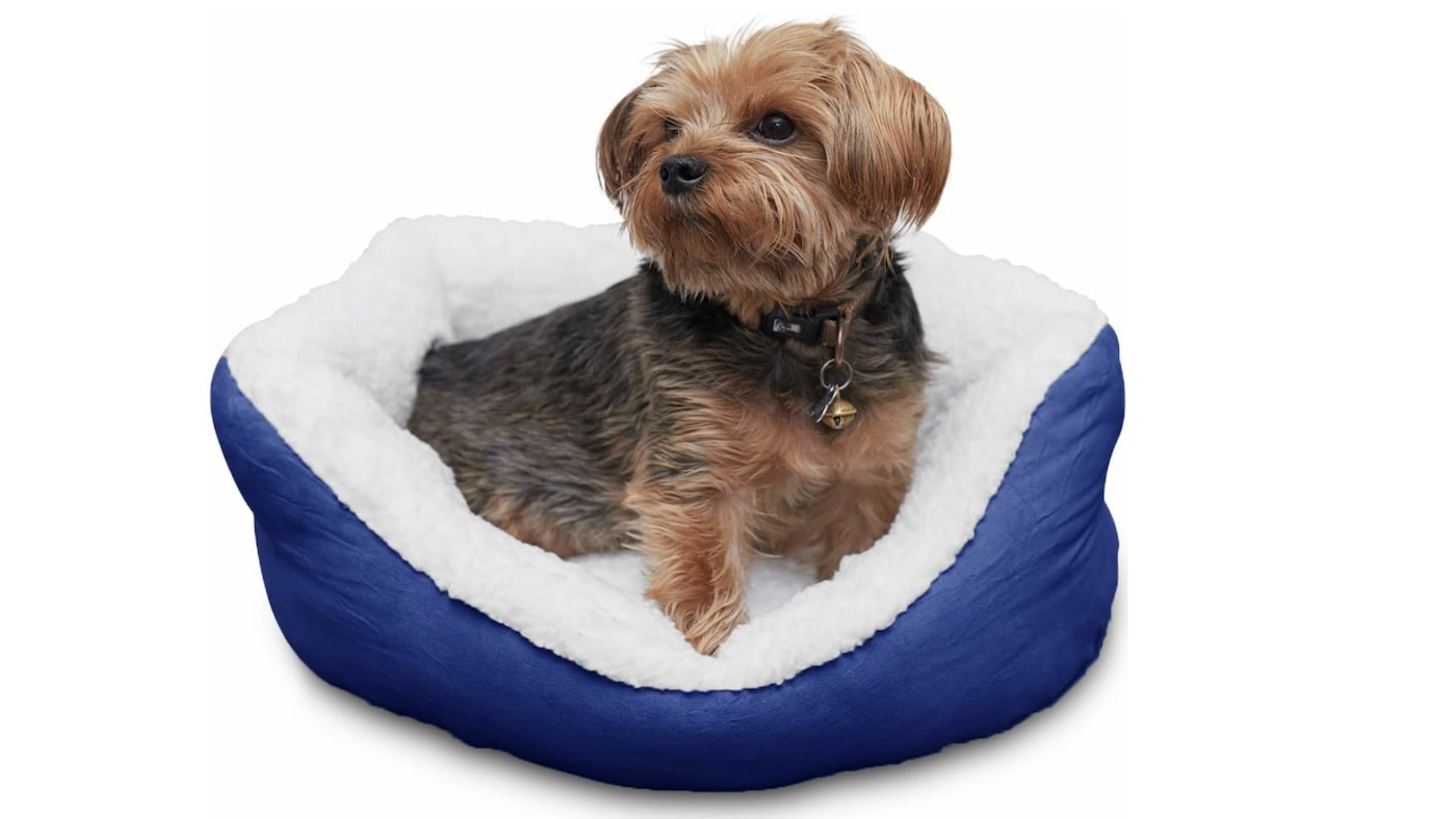 Small terrier lying in a small dog bed