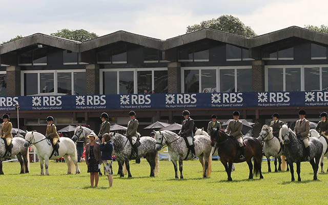 DUNEDIN MERLIN Highland Pony Ridden Champion at the Royal Highland Show 2014 Photograph by John Grossick 0771 046 1723