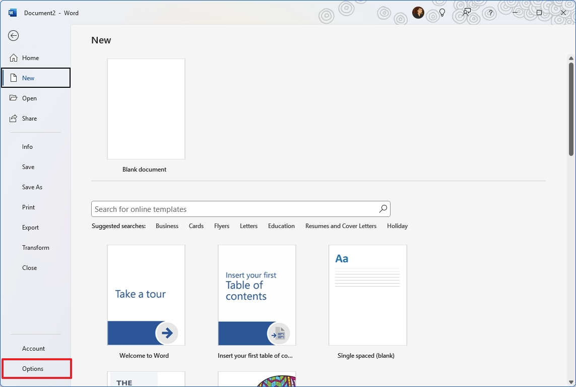 Microsoft Word open Options