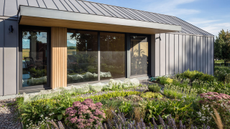 native plant beautiful front yard