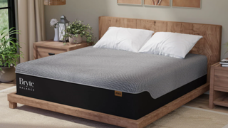 Black and grey Bryte Balance PRO smart bed on wooden bedframe in bedroom with cream rug, wooden bedside tables and green plants