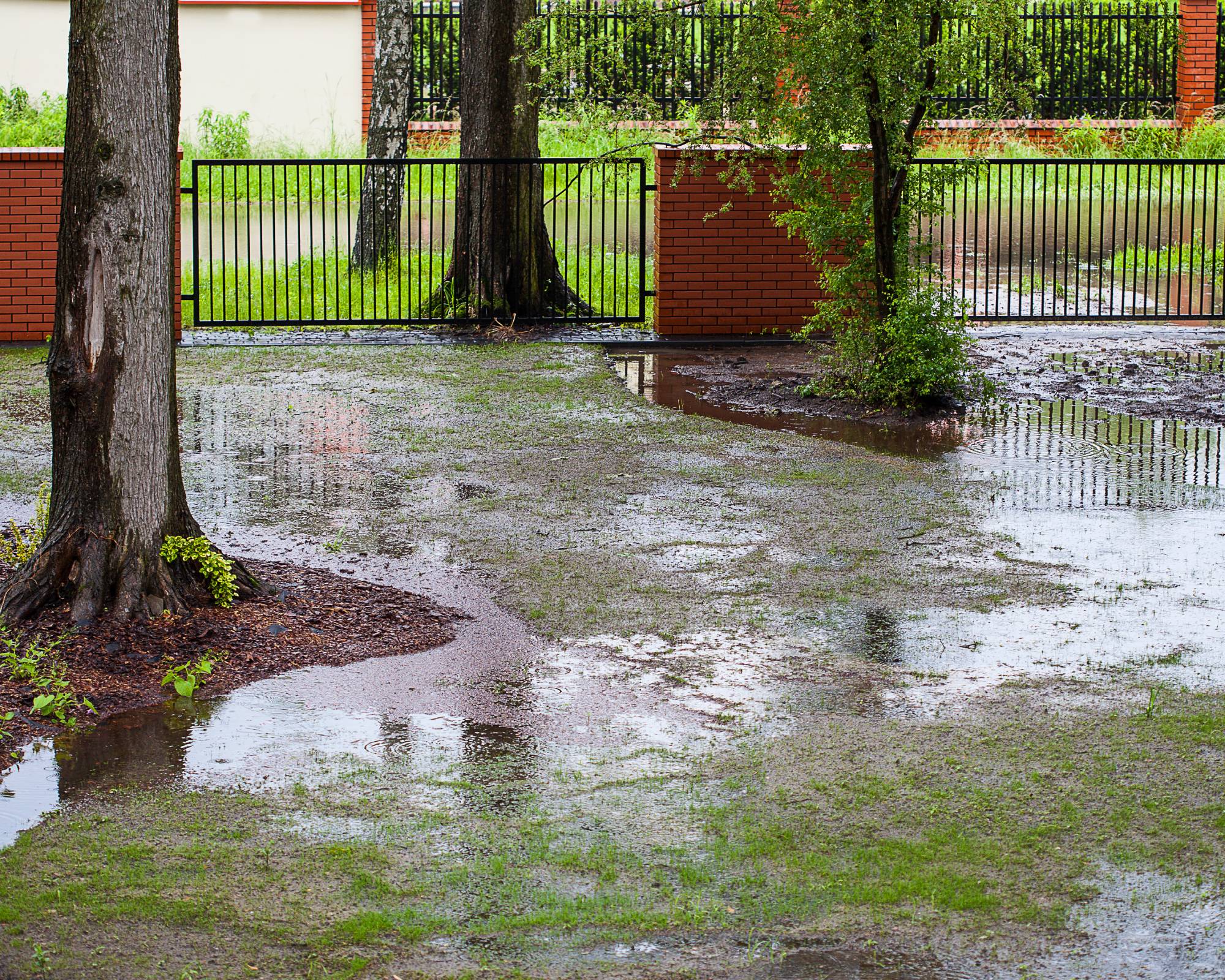 Flooding in yard with drainage issues