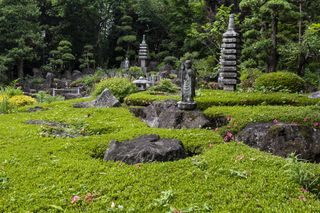 japanese moss garden