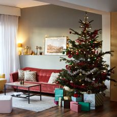 Live Christmas tree in living room