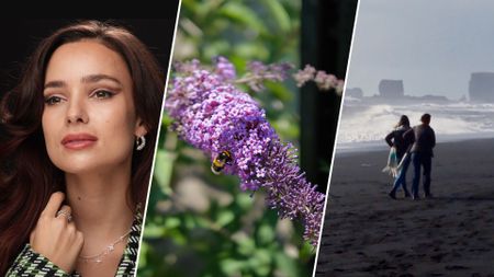 A triptych shows a portrait, a bee on a lilac flower, and a couple on a beach