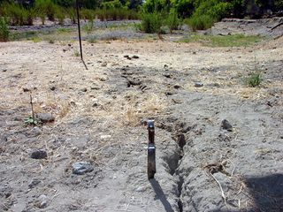 Crack in the earth caused by the 2004 Parkfield earthquake along the San Andreas Fault