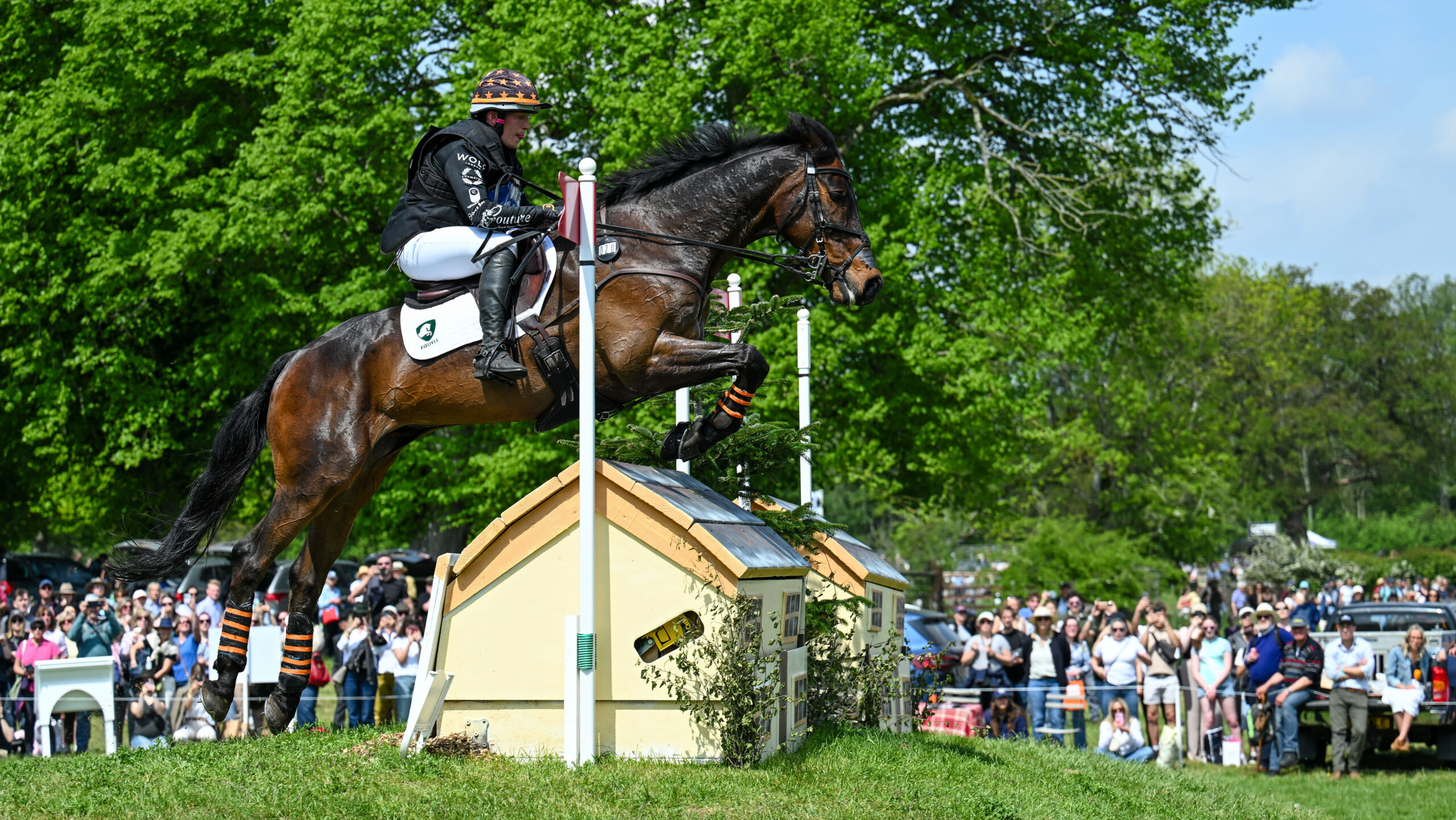 Tom Bird riding Cowling Hot Gossip during the cross country at Badminton Horse Trials