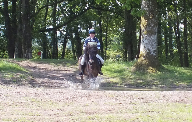 Galahad