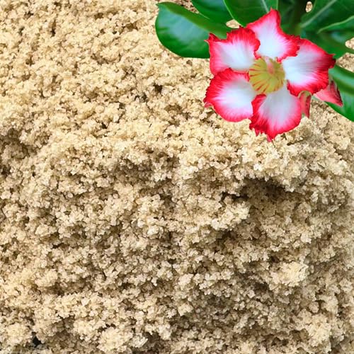 Gardenwise Fine Sand for Plants &amp;ndash; Horticultural Sand for Succulents, Cactus, Potting Mixes, Terrariums &amp;amp; Decorative Indoor Gardens, Made in Usa (3 Quarts - 8.4 Lbs)
