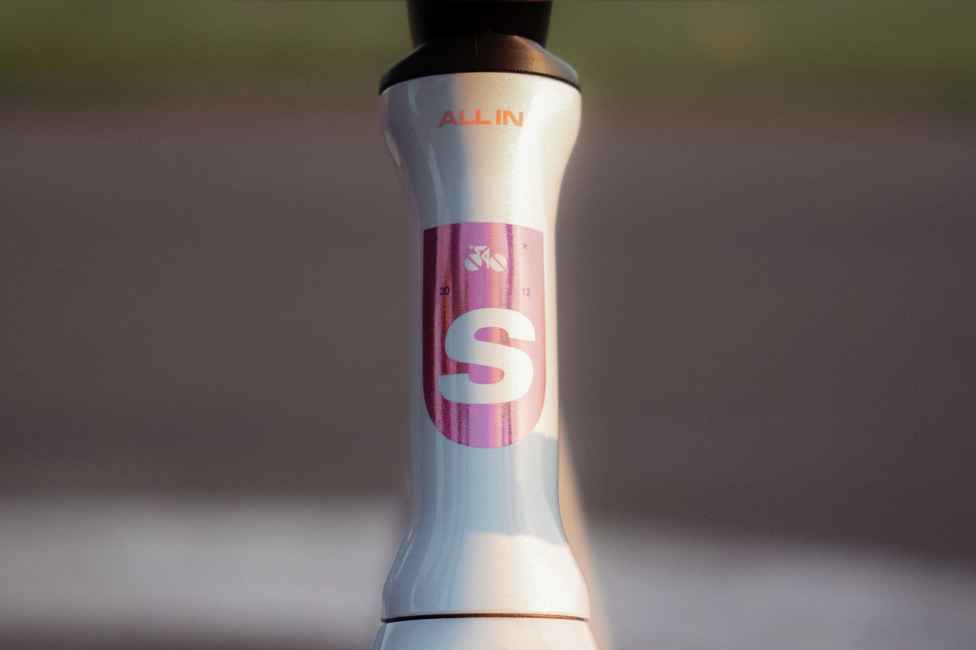 Detail of Standert's new Kreissäge RS head tube