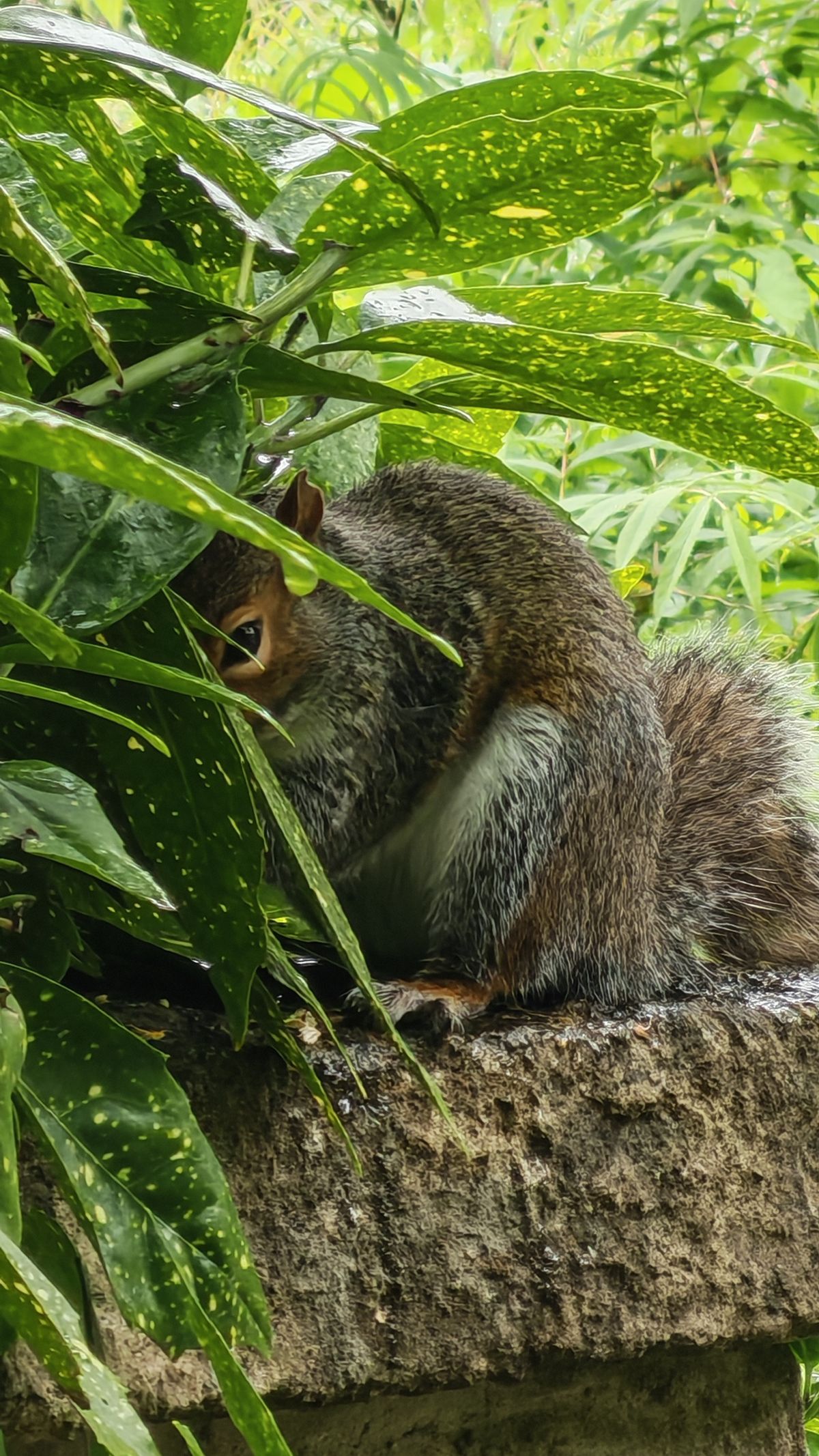 The Honor 400 Pro sample images