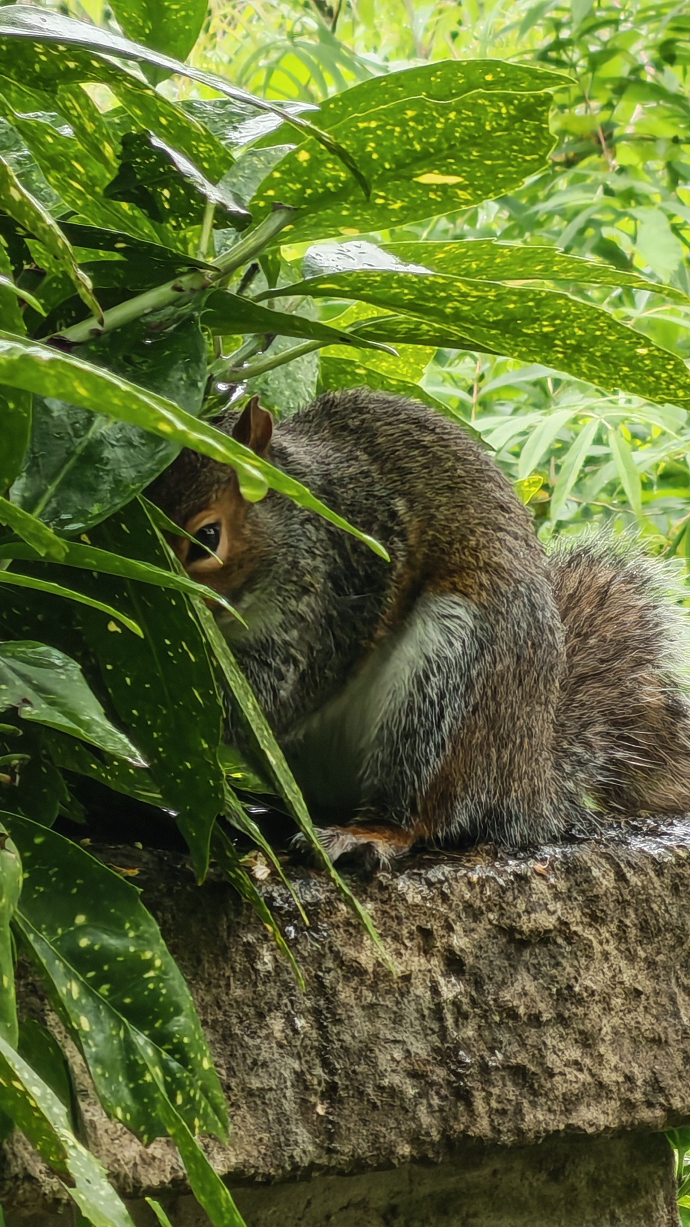 The Honor 400 Pro sample images