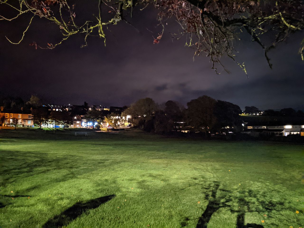 Google Pixel 5 camera sample