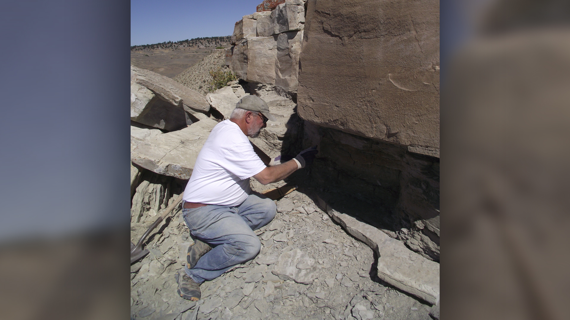 Bryan Aivazian, a volunteer with the Tate Geological Museum, looks at the Windy Hill Member of the Sundance Formation, where the trackway was found.