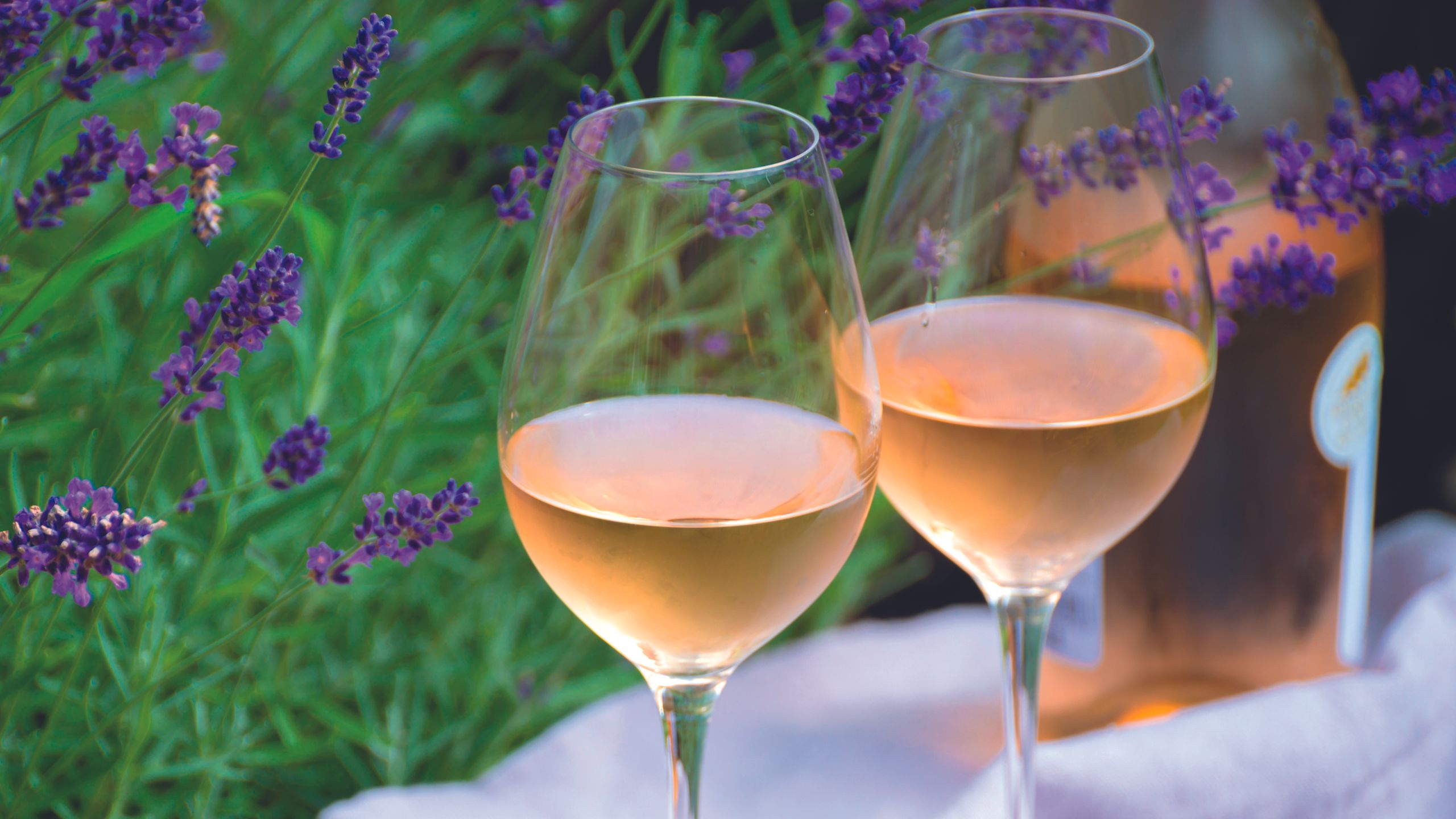 ’The whole idea was to create a bit of a two fingers to the likes of Whispering Angel’: Raise a glass to England’s sparkling rosé