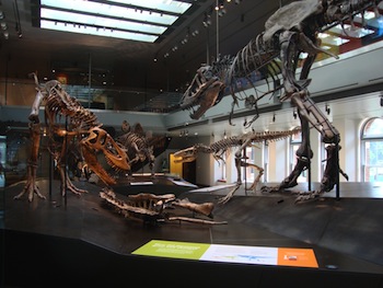 Dinosaur Exhibit Features Electrosonic