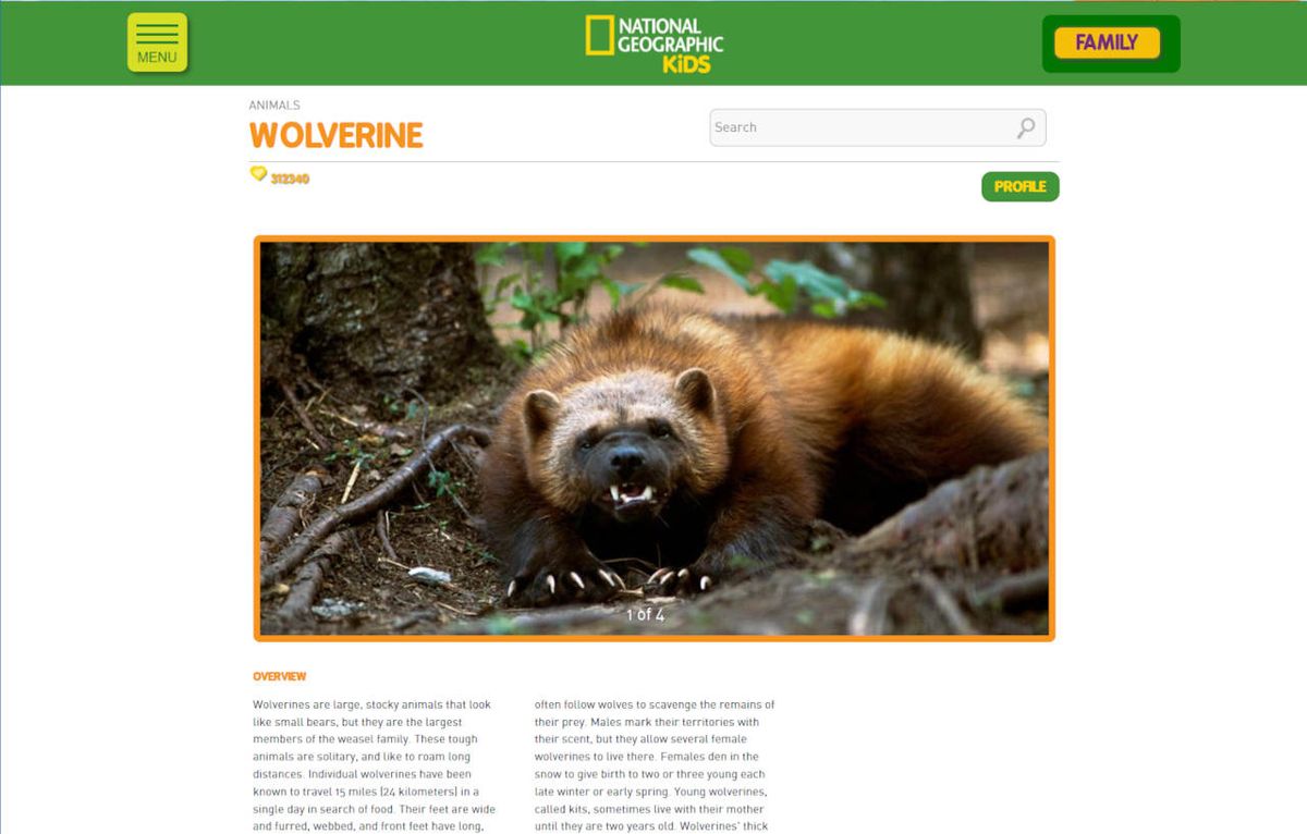 Screenshot of wolverine and accompanying profile