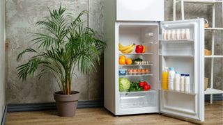 Where should a refrigerator go in the kitchen