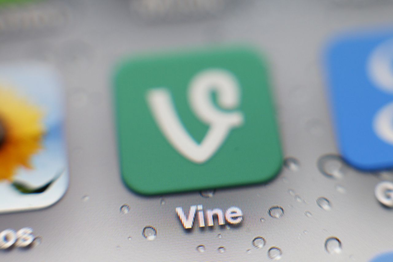 The return of Vine is my favourite internet plot twist of 2025