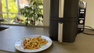 Ninja DoubleStack Air Fryer chips