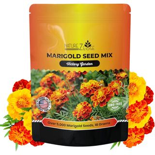 NatureZ Edge Marigold Seeds Mix