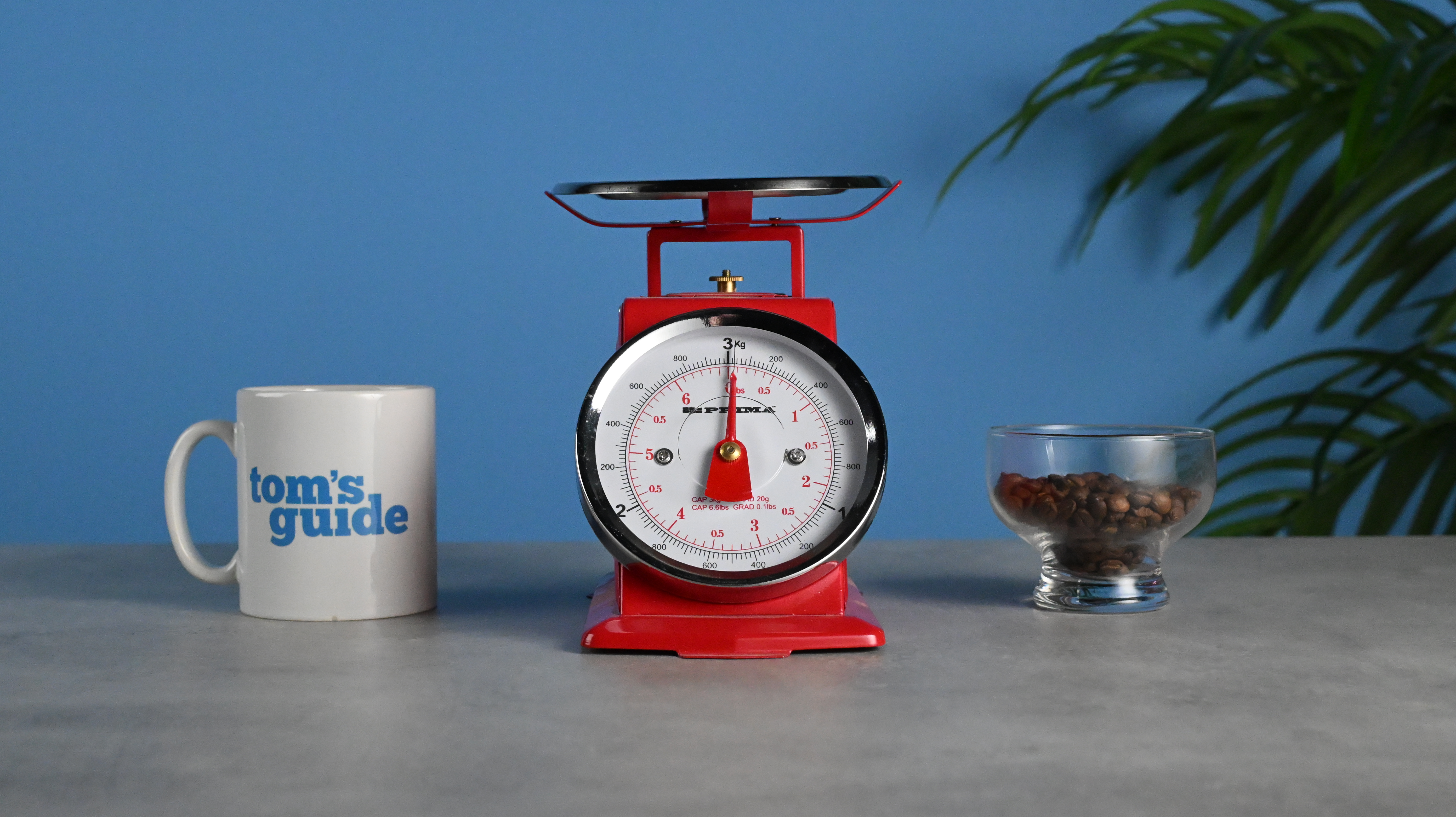 A set of red scales with a mug on the left and a glass of coffee beans on the right. Taken at ISO6400 on the Nikon Z50II.