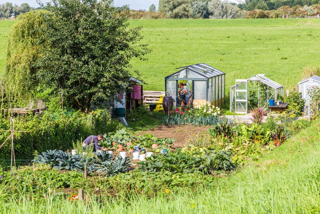 Regenerative Agriculture Garden Landscape