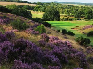 Notts 13th hole best heathland golf courses