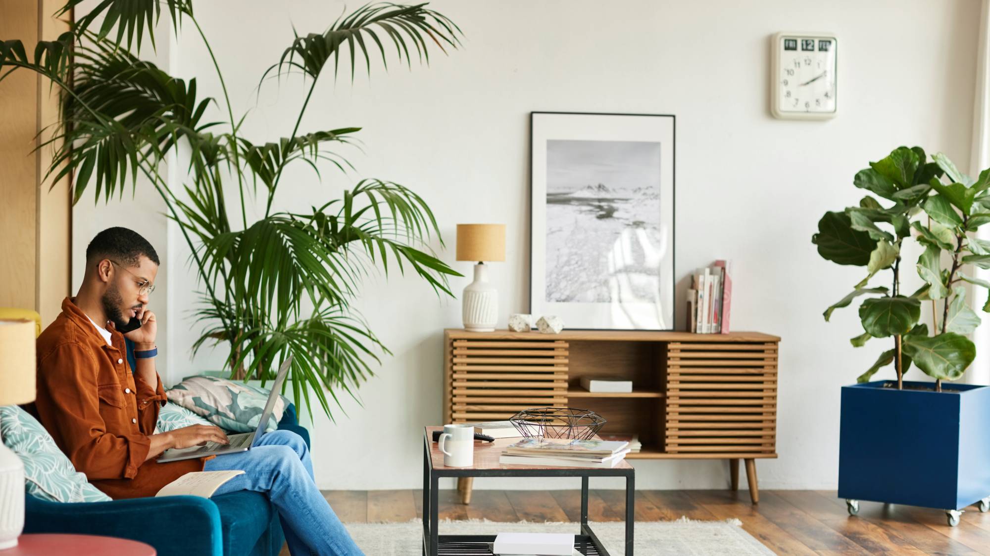Tall houseplants in living room