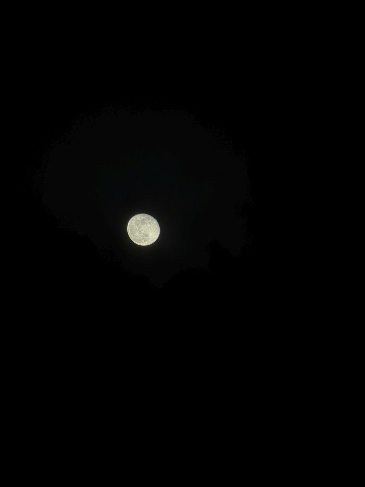 Shiftcam 240mm Super Zoom Tele zoom sample.