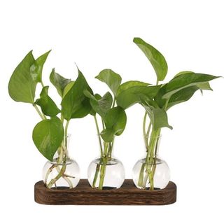 Hengguang 3pcs Plant Propagation Glass Vase Station,desktop Retro Plant Terrarium With Wooden Tray, Bulb Flower Vase Container for Propagating Hydroponic Plants Home Office Decor