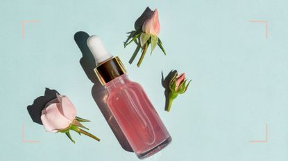 A dropper of rosehip oil for face along with rose buds on a blue backdrop