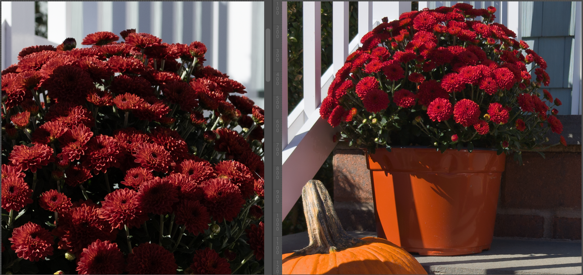Images RAW test