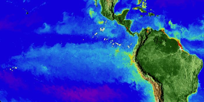 The SeaWiFS satellite, launched in 1997, measures the amount of phytoplankton that blooms on Earth's ocean surfaces. Here, SeaWiFS data show how phytoplankton in the eastern equatorial Pacific Ocean responded to the transition between El Niño and La Niña conditions in 1998. Higher concentrations of phytoplankton are represented in yellow and red, with lower concentrations pictured in purple.