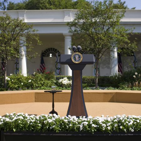 Plant, Shrub, Real estate, Garden, Groundcover, Column, Hedge, Landscaping, Annual plant, Yard, 