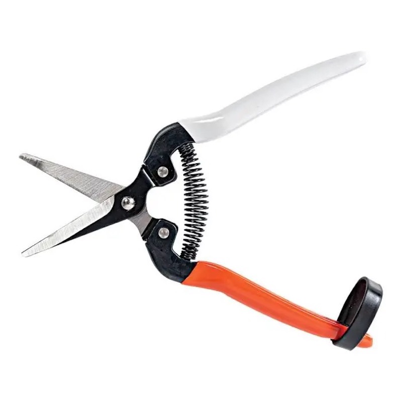 Straight Blade Shear