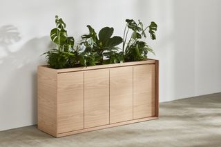 Wooden credenza by benchmark with plants