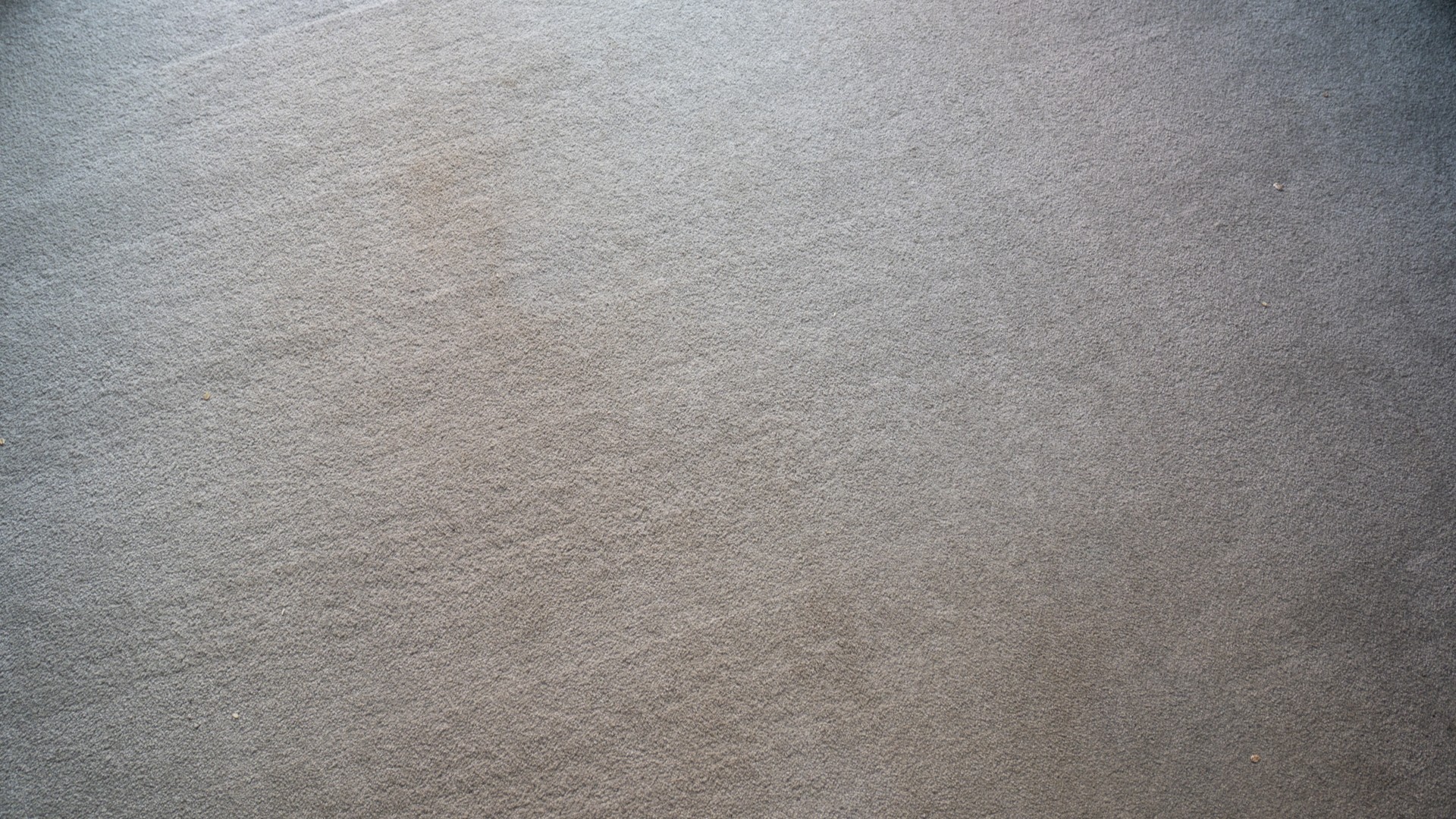 Oats vacuumed from carpet