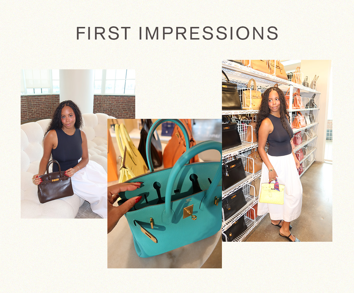 birkin bag review