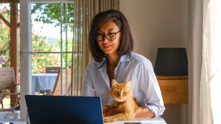 an orange cat lays on a table next to their cat parent who is using a labtop