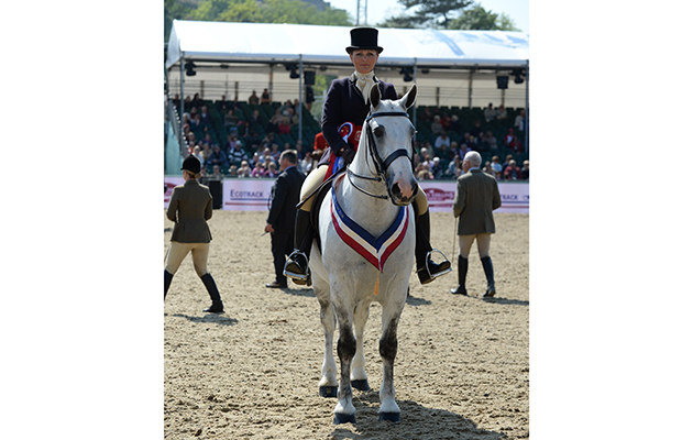 Victoria Hesford riding Randalstown Musketeer, Champion Cob Championship during Friday of the Royal Windsor Horse Show, in the grounds of Windsor Castle in Windsor in the county of Berkshire, UK on 13th May 2016