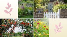 composite of different elements of a typical cottage style garden 