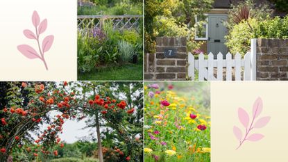 composite of different elements of a typical cottage style garden 